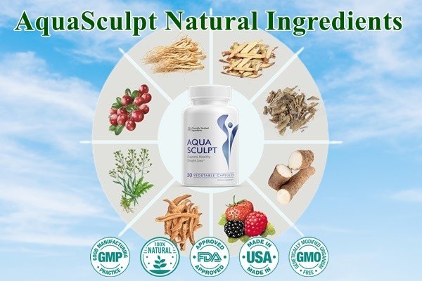 AquaSculpt Ingredients